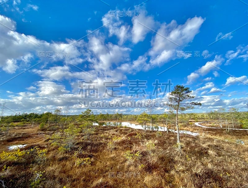 沼泽秋天国家公园克梅里拉脱维亚风景