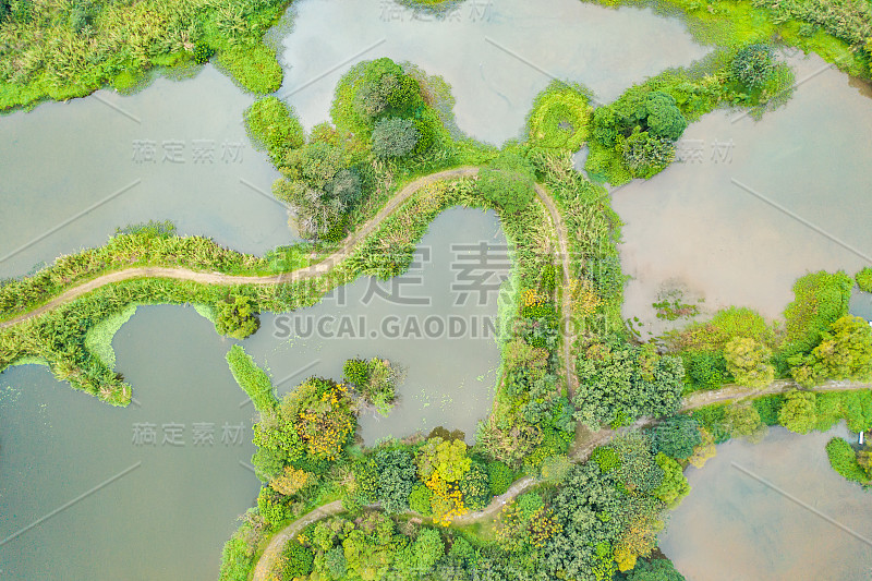 鸟瞰图与树木附近的湖在新北市，台湾