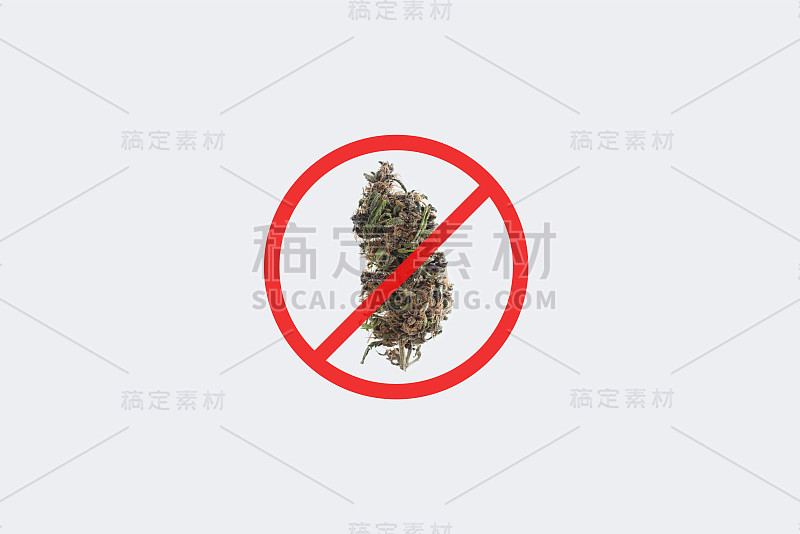 带有禁止标志的大麻芽，孤立在白色背景上