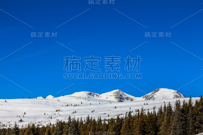 蓝天，山峰和松林被皑皑白雪覆盖