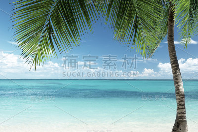 加勒比的海滩