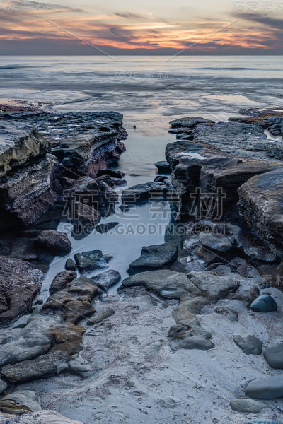 Diverse Beauty Graces the California Coast
