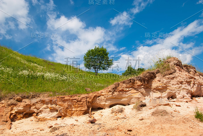 景观与树木和砂岩