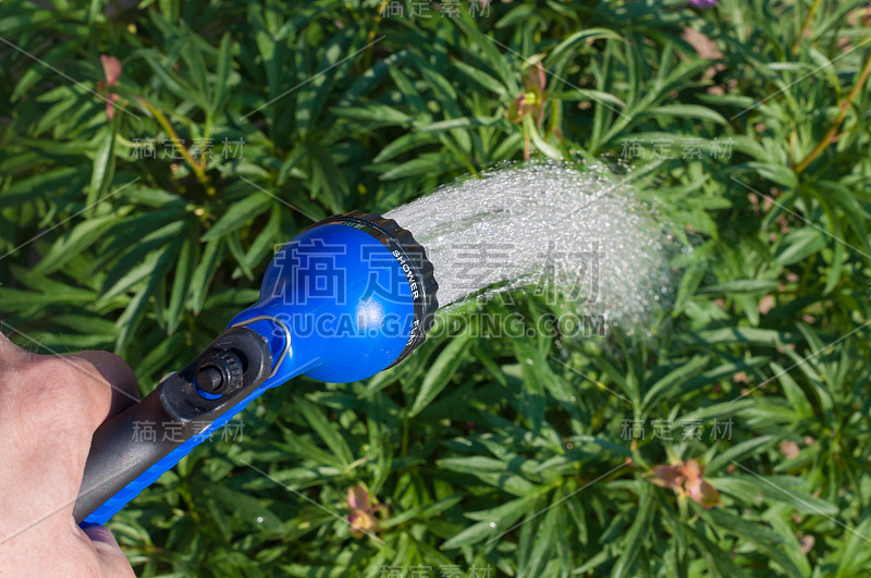 一个人的手与园艺工具的植物背景