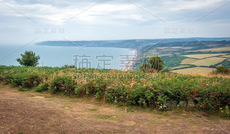 山上的绿色田野，背景是英吉利海峡和英国的乡村。英国多塞特侏罗纪海岸的金冠。