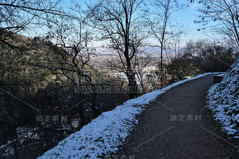 马其顿的性质。石竹(石竹)山地森林