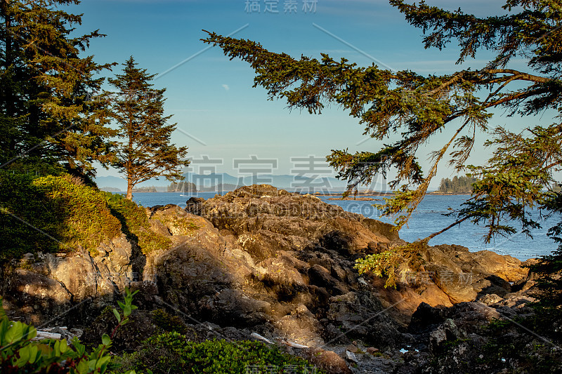 夏日黄昏的海滩风景，Ucluelet，温哥华岛，BC，加拿大