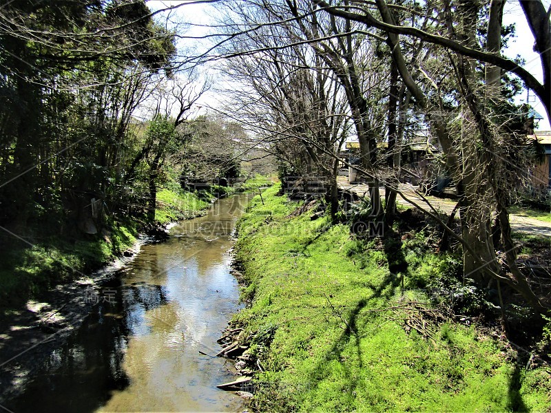 3月。日本。流山市中心的一条小河。景观。