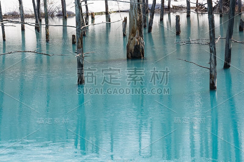 春天碧蓝的池塘里满是融化的雪花