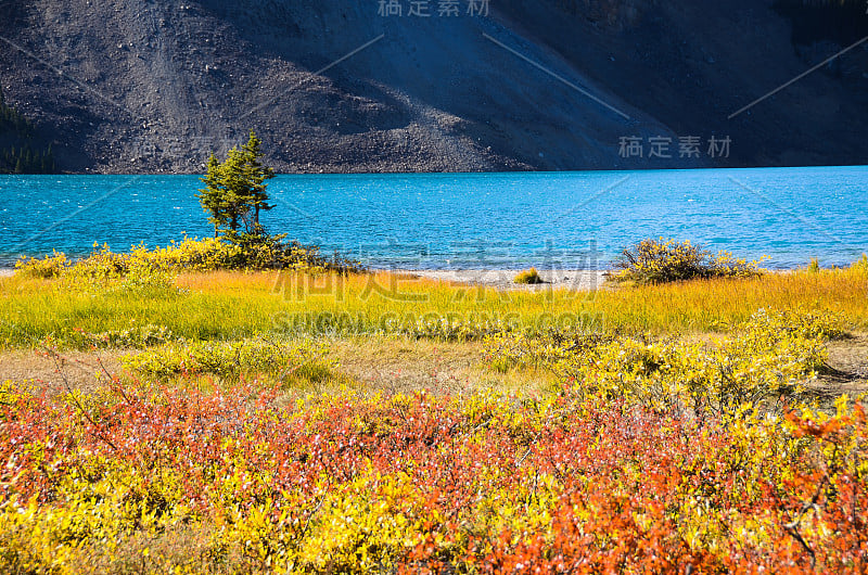 加拿大落基山脉秋天的弓湖