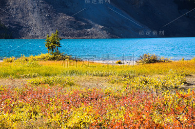 加拿大落基山脉秋天的弓湖