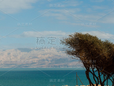 颜色的以色列