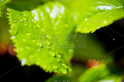 水滴