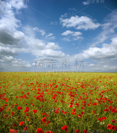景观