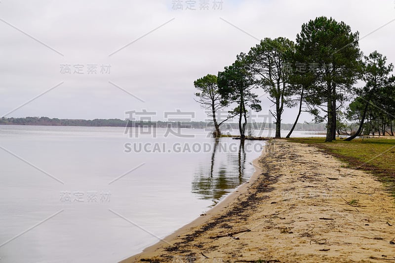 法国朗德省sanguinet村的沙滩湖