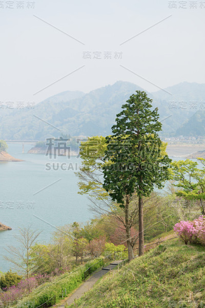 在春天湖