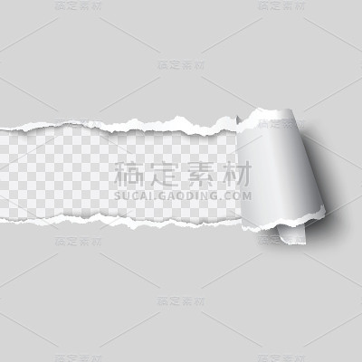 向量撕纸