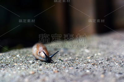 弹头在石头