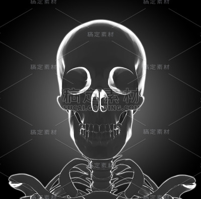 x射线的头骨