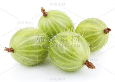 白色的绿醋栗果