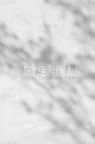 白墙上映着树叶的影子