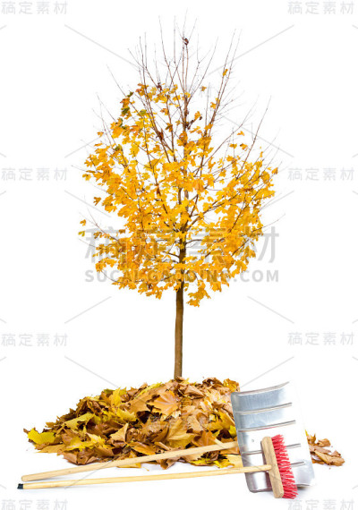 秋天的清洁