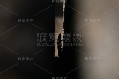 一只蜥蜴的剪影藏在马德里的两块石头之间