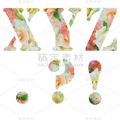 花的美国广播公司