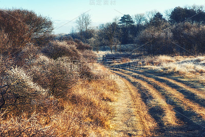 冬天土路