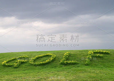高尔夫球