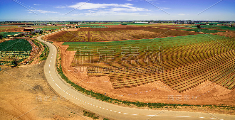 航拍的绿色和棕色的田野和蜿蜒的道路在明亮的夏日