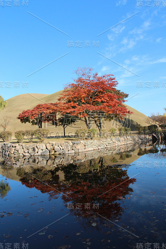 庆州大陵园皇家陵墓的秋景