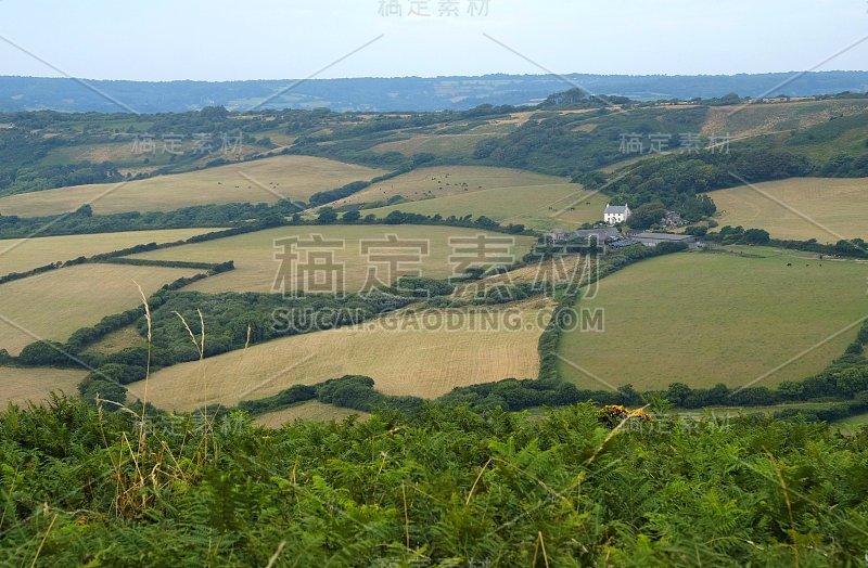 山上的绿色田野，背景是英吉利海峡和英国的乡村。英国多塞特侏罗纪海岸的金冠。