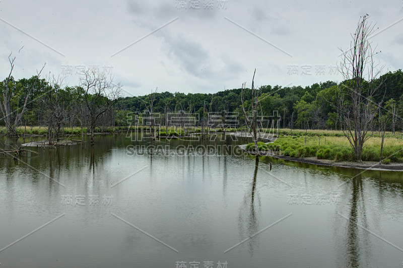 常青湖- HDR