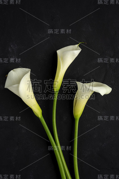 美丽的春花花束