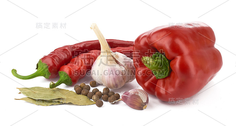 白色背景上的香料