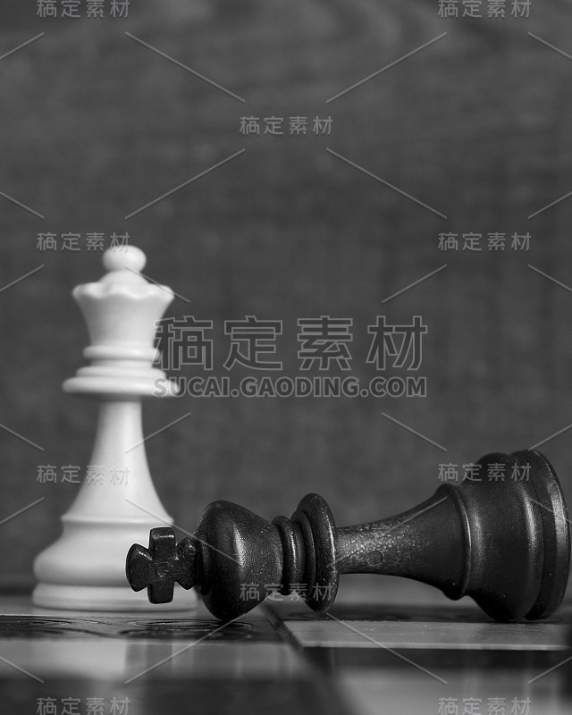 棋盘上的象棋