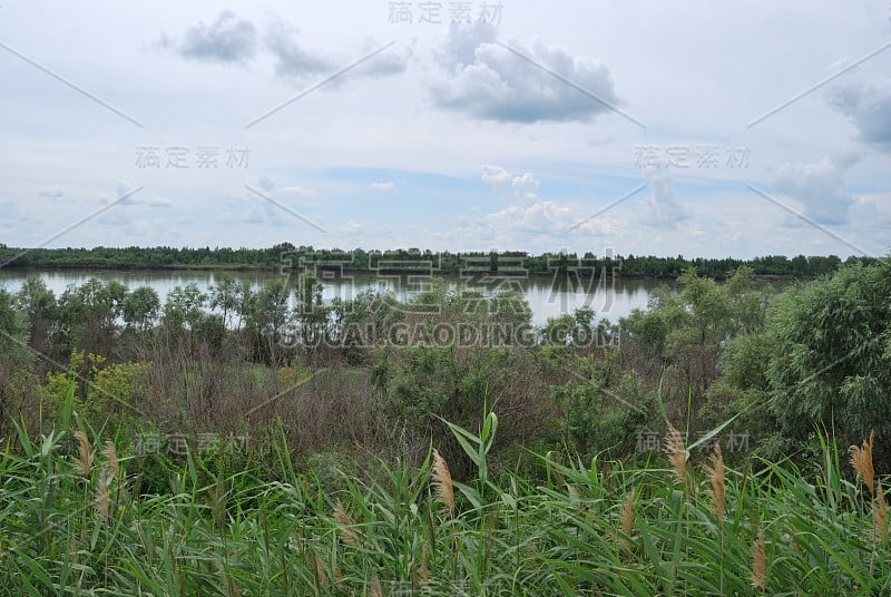 额尔齐斯河沿岸，鄂木斯克地区，西伯利亚，俄罗斯