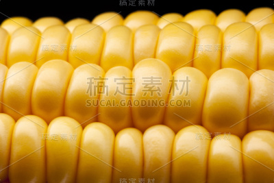 成熟的玉米棒子