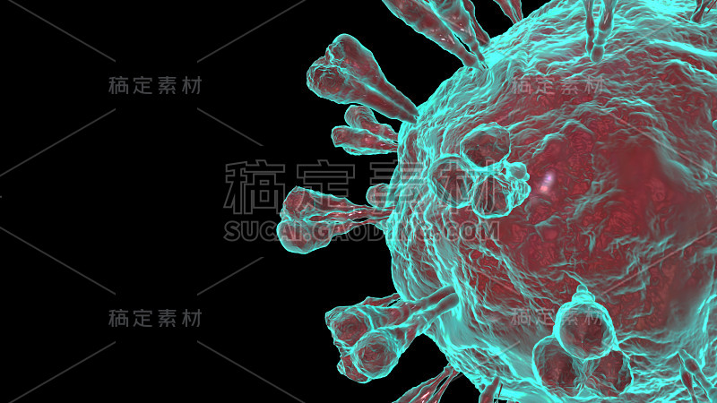 Covid-19冠状病毒详细视图3D渲染