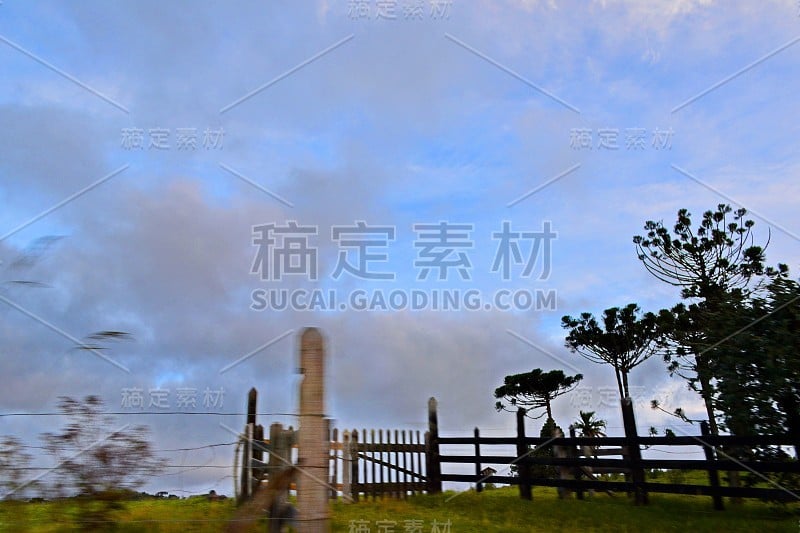 坎波阿雷格里景观