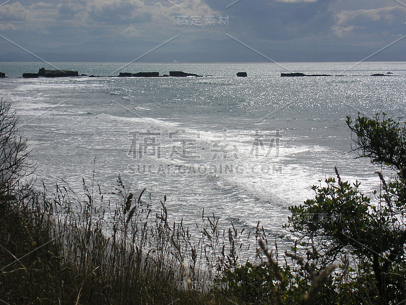 海角绑架者，新西兰