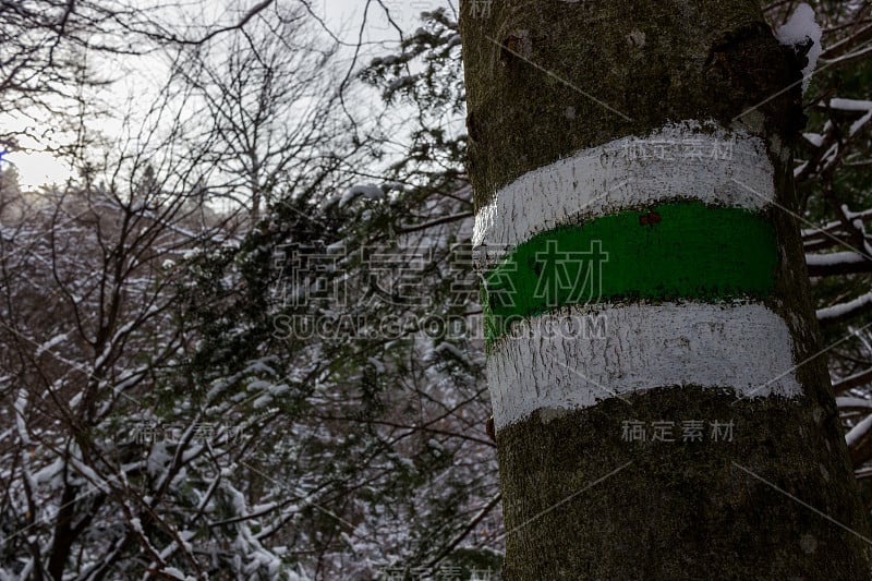 冬季跟踪从Yumruk峰和Eho小屋到Ribaritsa村，Stara planina(巴尔干山)，