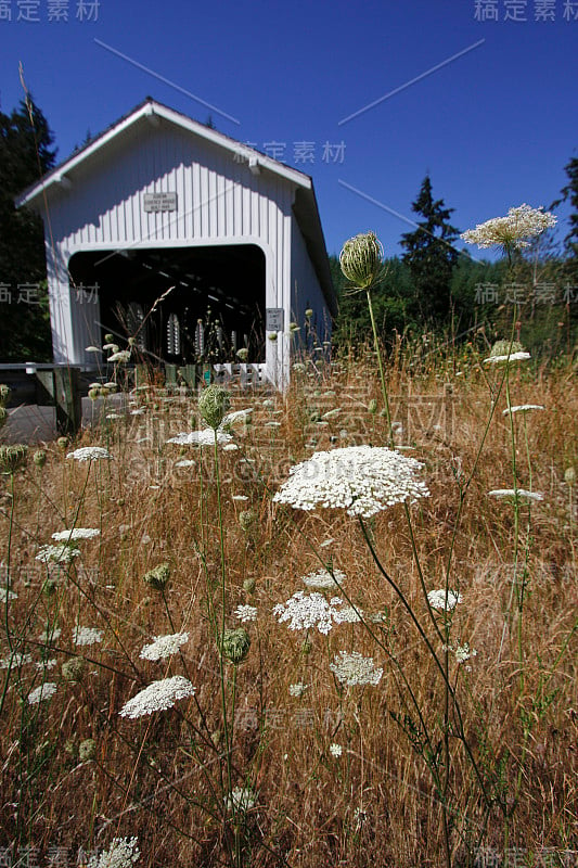 Dorena Covered Bridge Cottage Grove Oregon Flowers