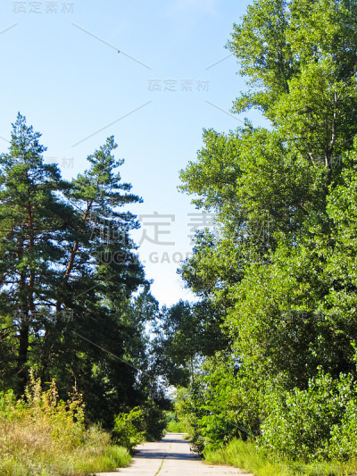 沥青路面和夏季景观