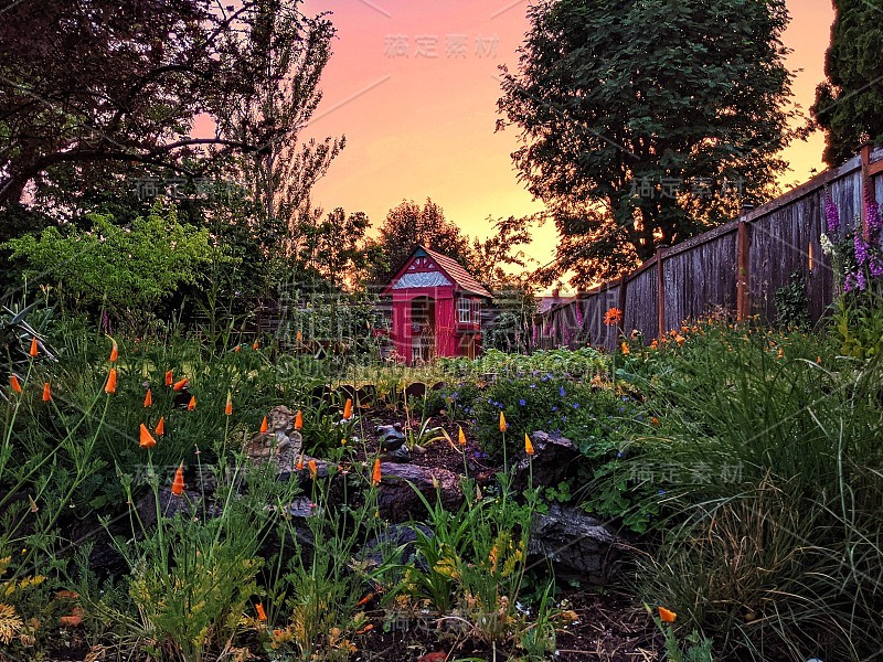 后院花园中清澈的夕阳。