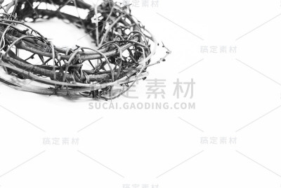 荆棘的冠冕