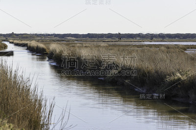 意大利托斯卡纳自然保护区