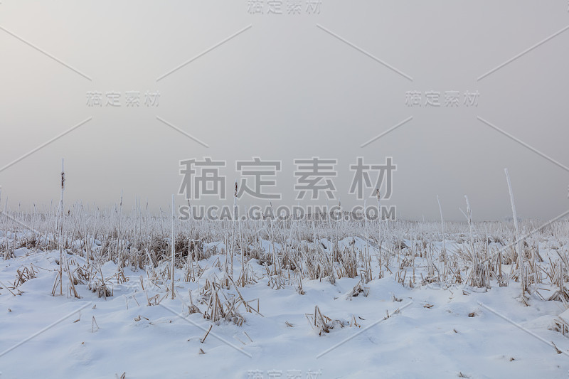 冬天的科马纳湖