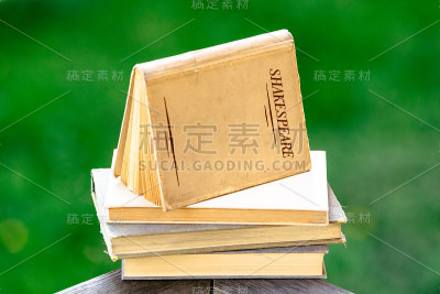 堆积的莎士比亚书籍